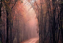 懂球帝能下载赛事直播吗？怎么操作？