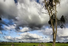 今日女单决赛直播看点在哪里？